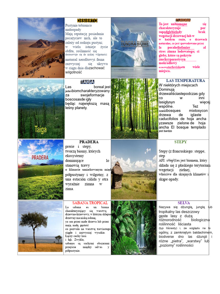 BIOMY | PDF