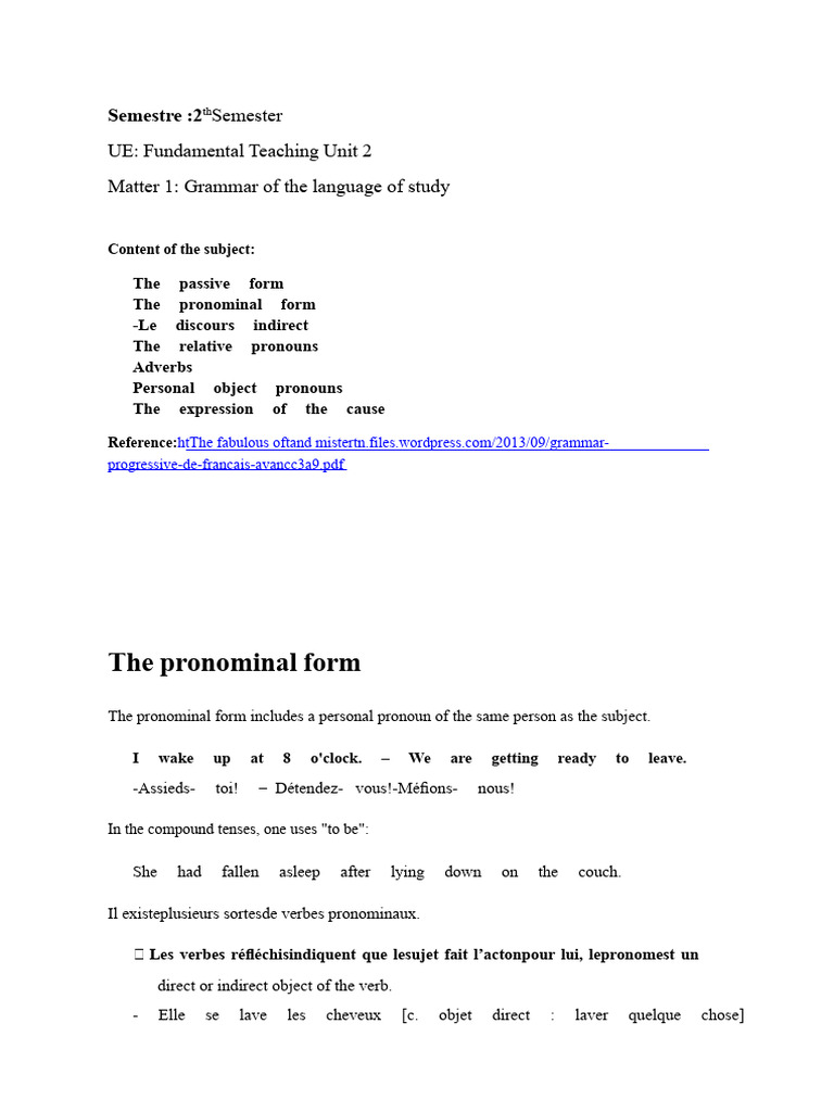 Grammar Course L1 | PDF | Grammatical Gender | Grammatical Tense
