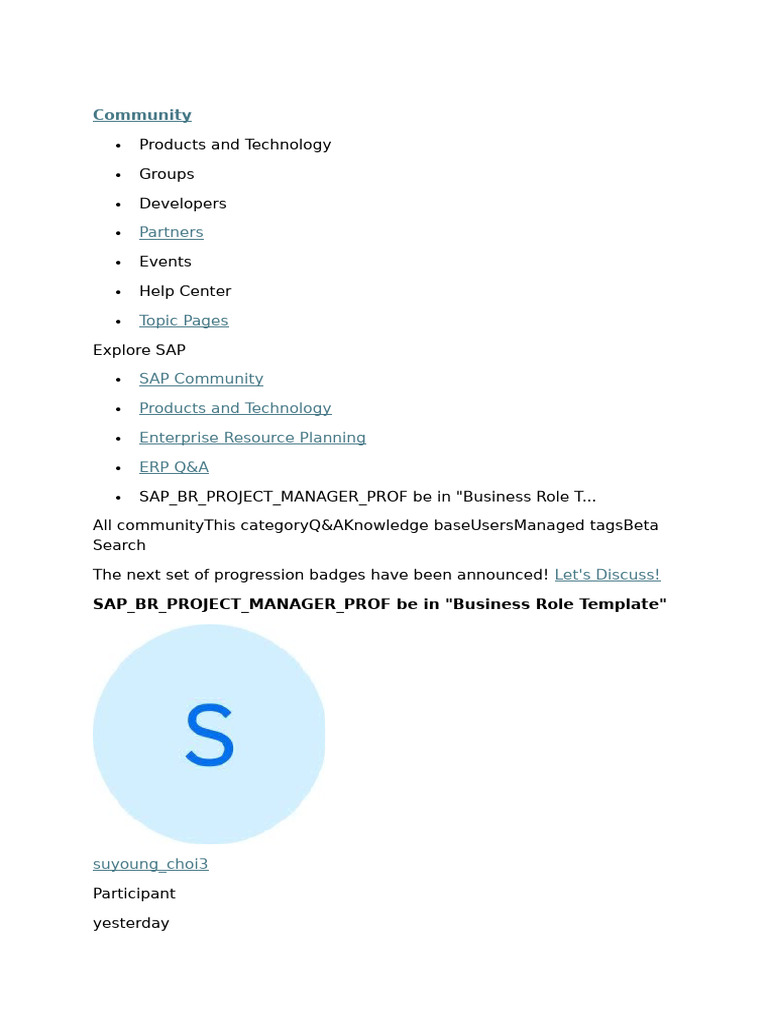 SAP_BR_PROJECT_MANAGER | PDF | Internet | Web 2.0