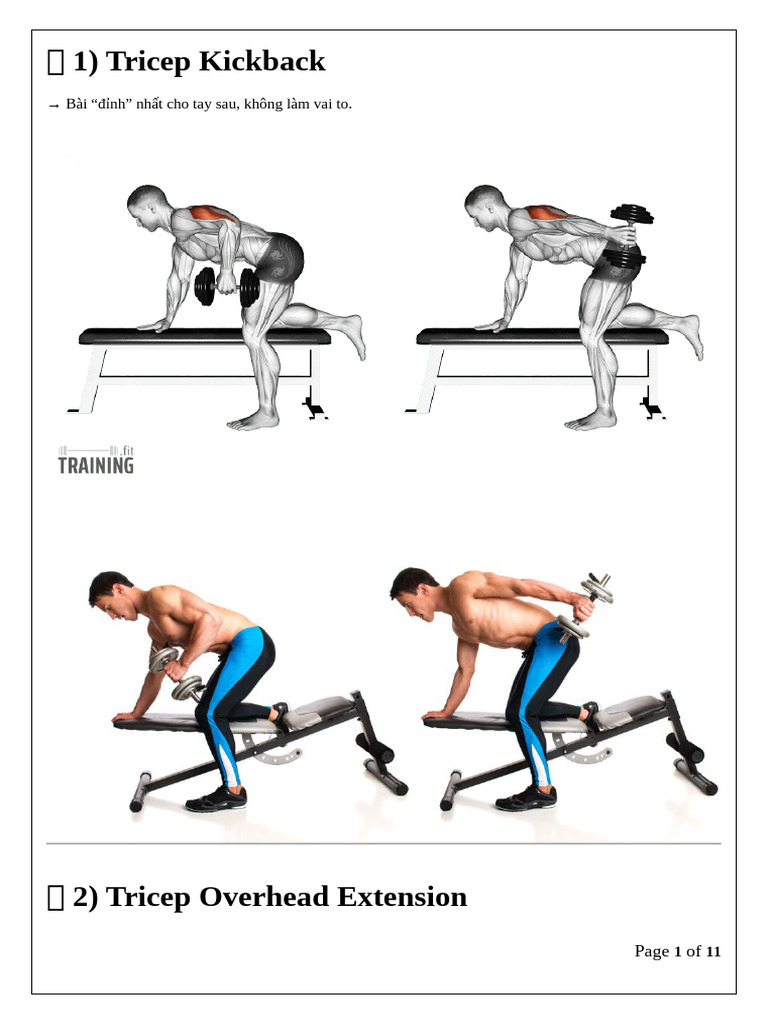 triceps workout có ảnh minh hoạ | PDF