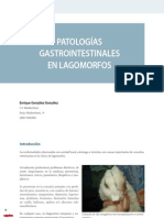 Cv30 Patologías Gastrointestinales en Lagomorfos