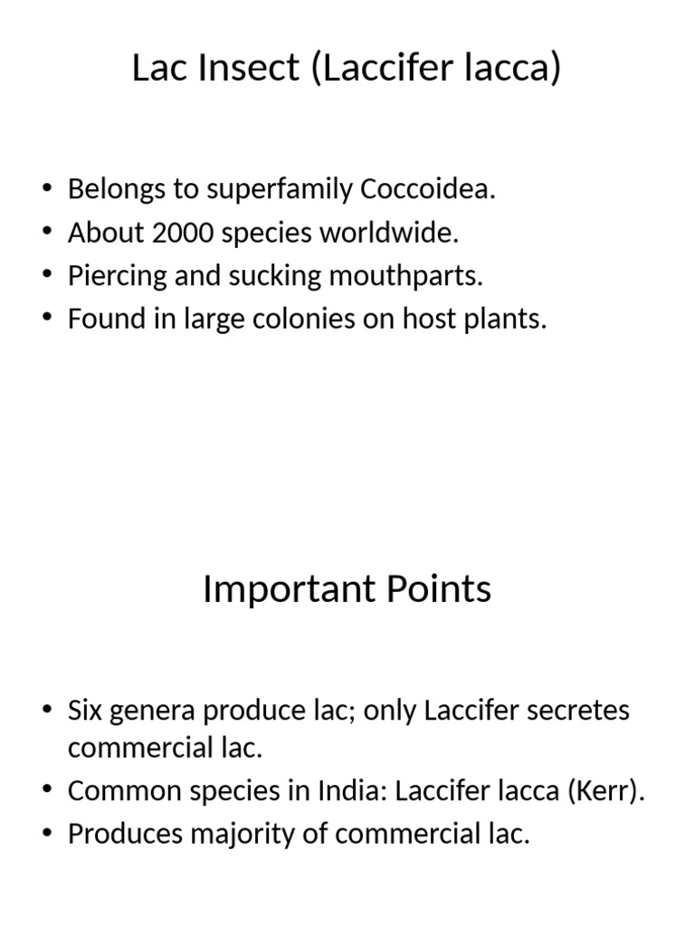 Lac Insect Presentation | PDF