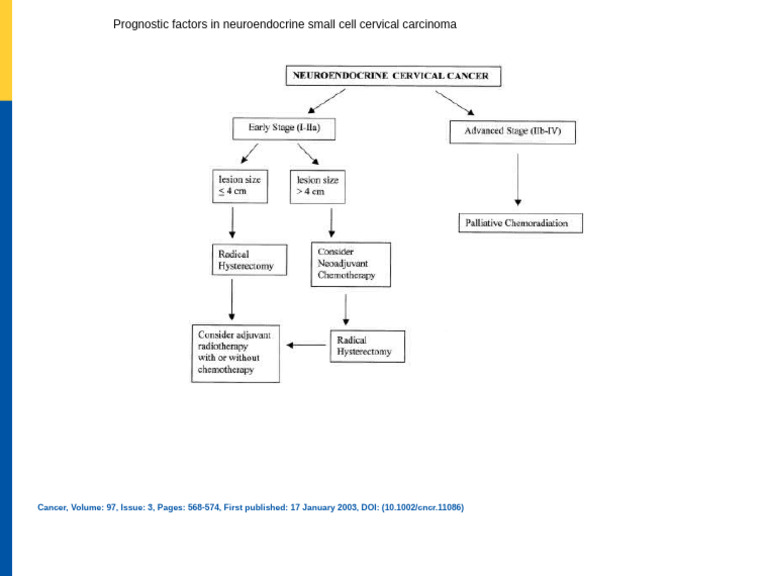 10 1002-cncr 11086figure3 | PDF