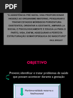 Encaminhamento para Pré-natal de Alto Risco | PDF | Gravidez | Gestação