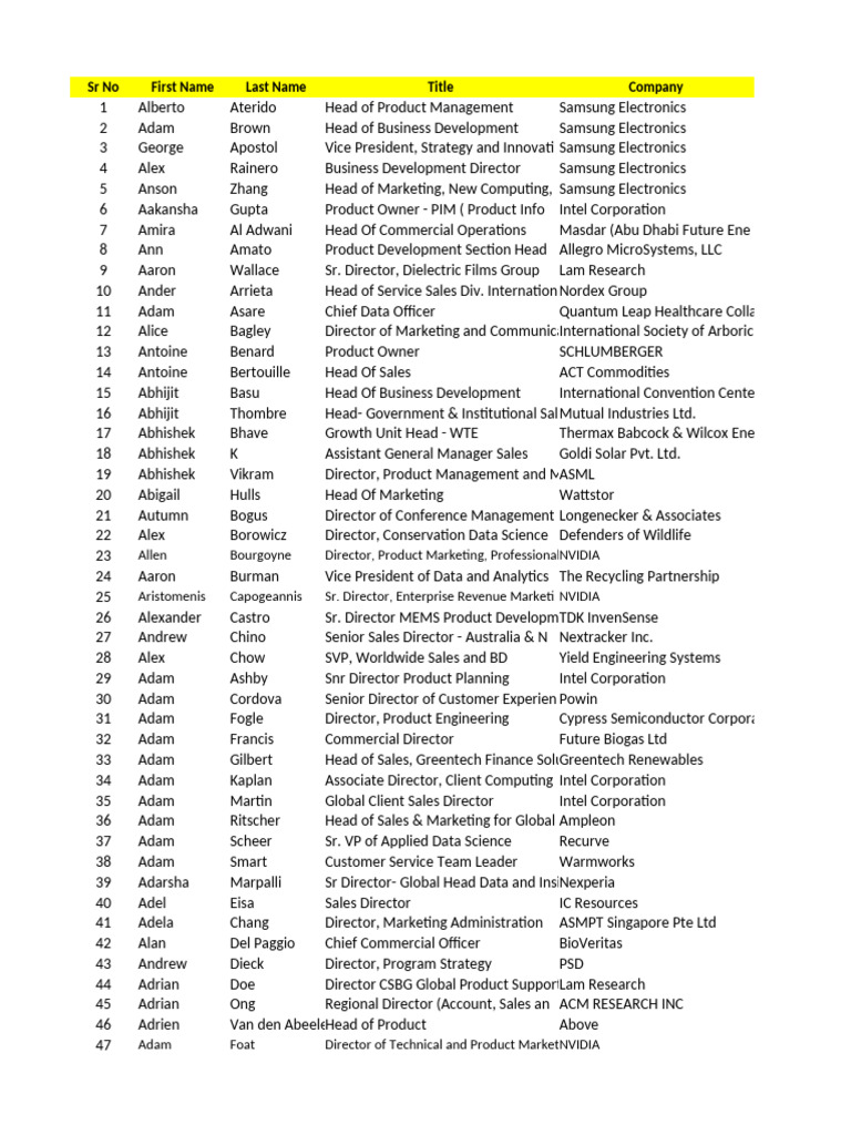 Executive Roles at Leading Companies | PDF
