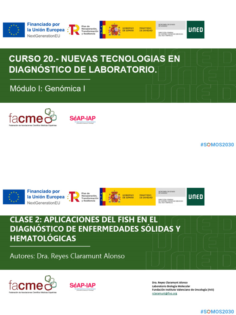 FISH en Diagnóstico de Enfermedades | PDF | Hibridación in situ ...