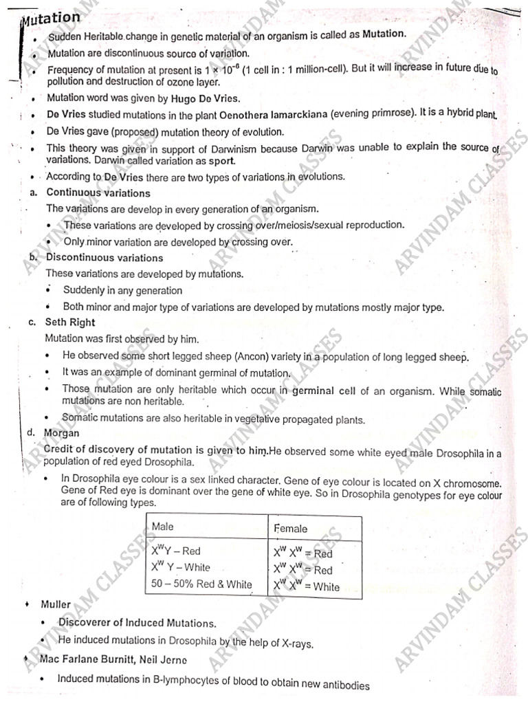 Master Notes On Mutation | PDF