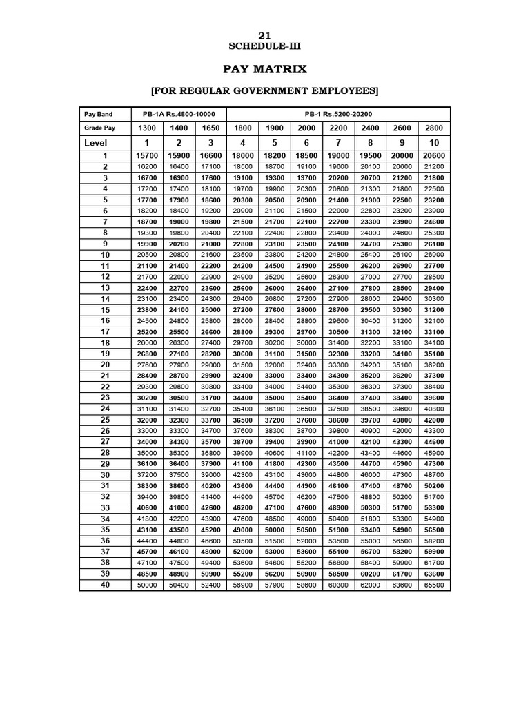 Government Employees Pay Matrix | PDF