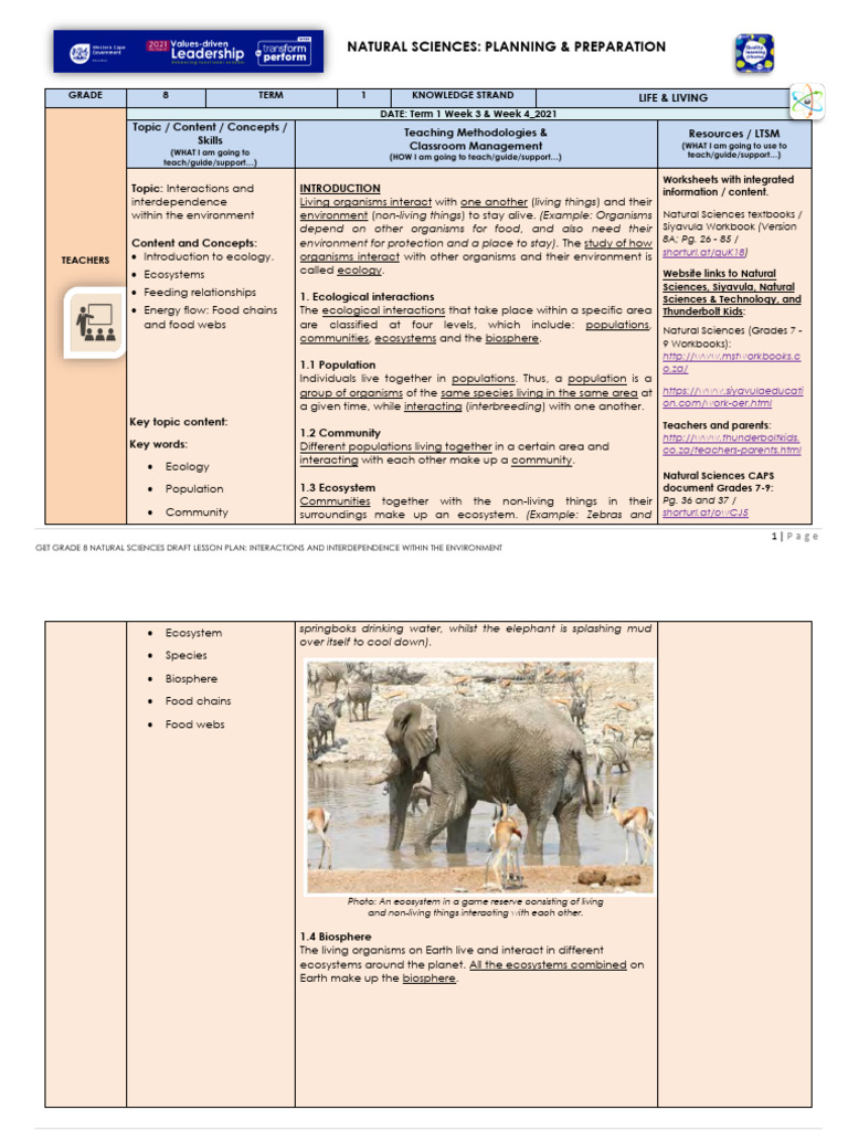 Grade 8 Natural Sciences Lesson Plan | PDF | Food Web | Foods