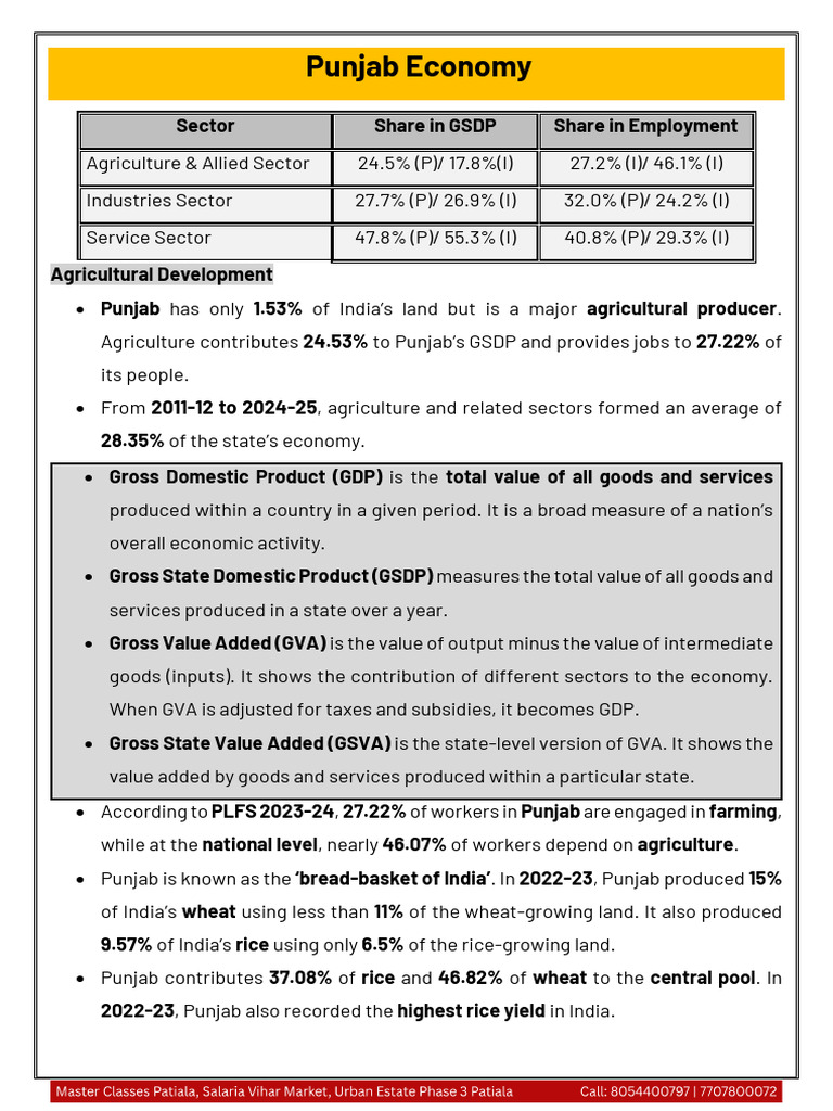 Punjab Economy - 251128 - 104452 | PDF | Gross Domestic Product | Gross ...