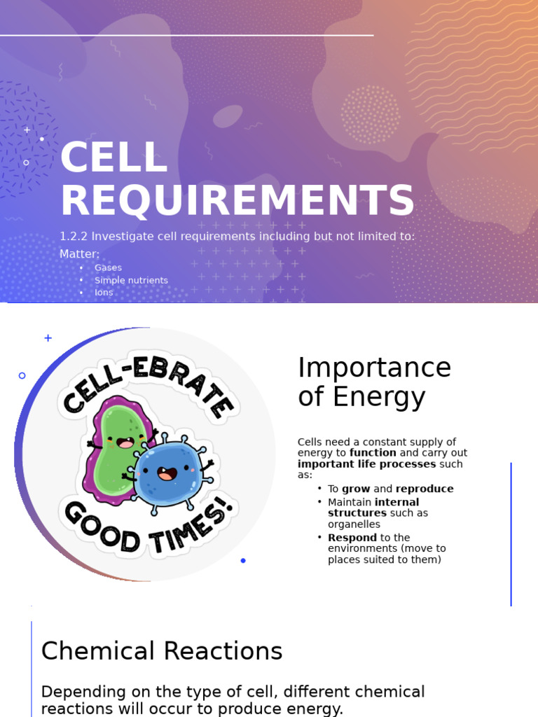Cell Requirements for Energy Production | PDF | Cell (Biology ...