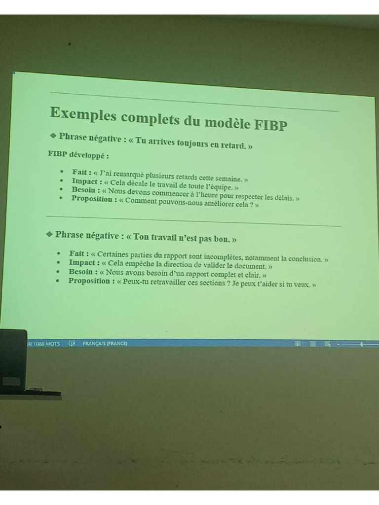 Exemple Complets Du Modèle FIBP | PDF