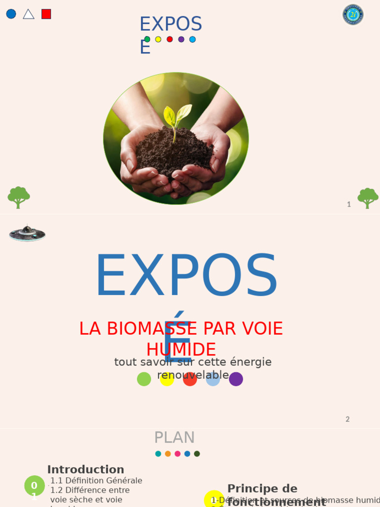 Biomasse par voie humide : enjeux et avantages | PDF | Biomasse ...