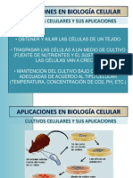 BIOTECNOLOGÍA