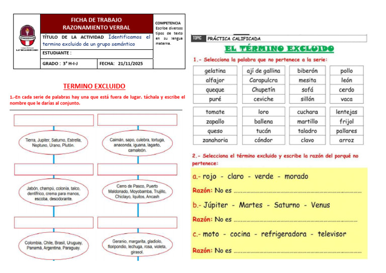 Actividad de Término Excluido 3° grado | PDF