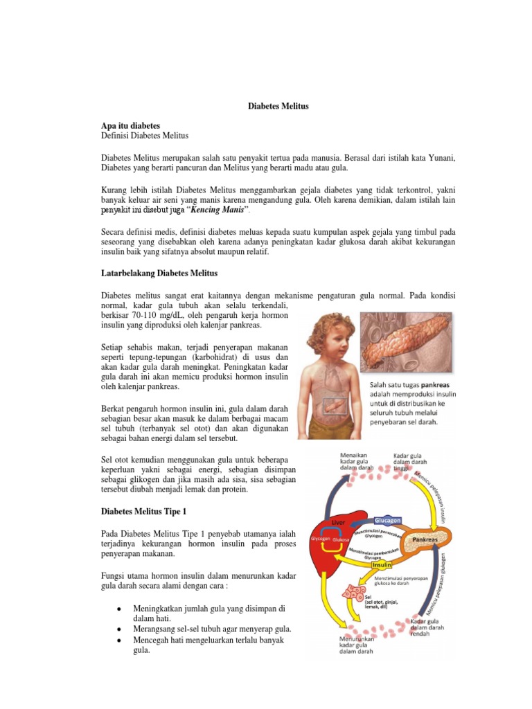 Diabetes Melitus Pdf