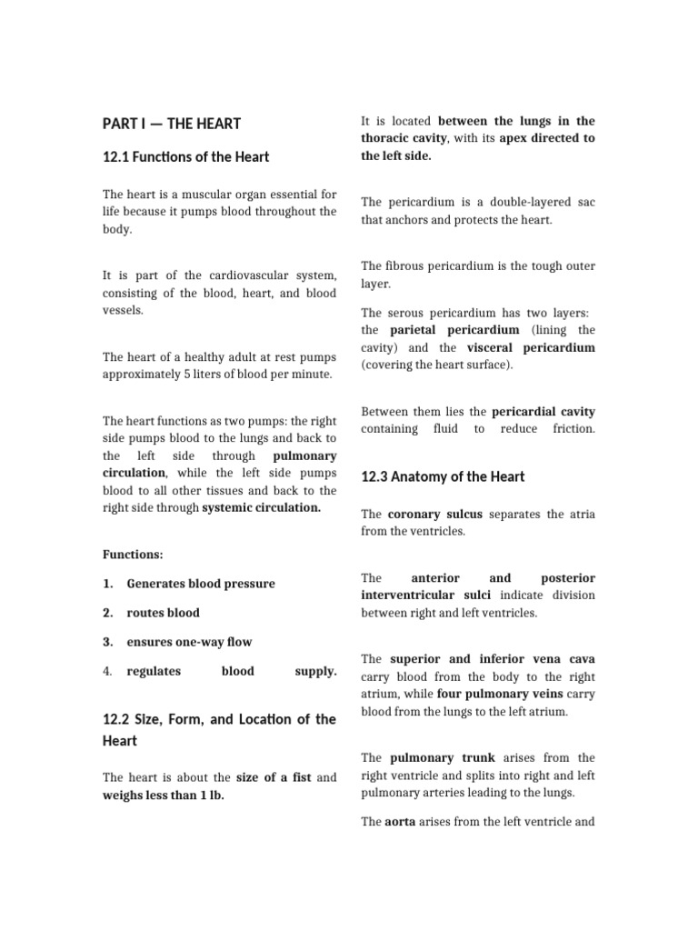 Heart and Circulatory System Overview | PDF | Heart | Vein