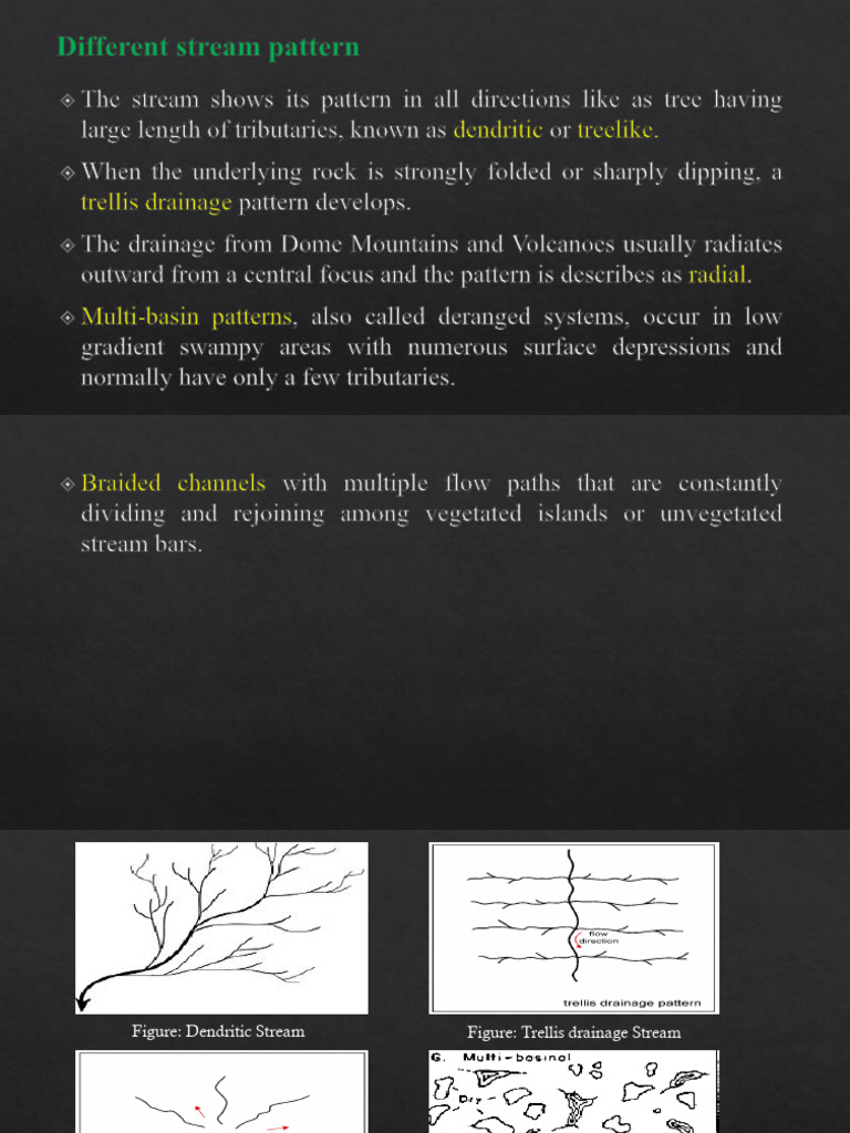 Stream Patterns and Floodplain Dynamics | PDF