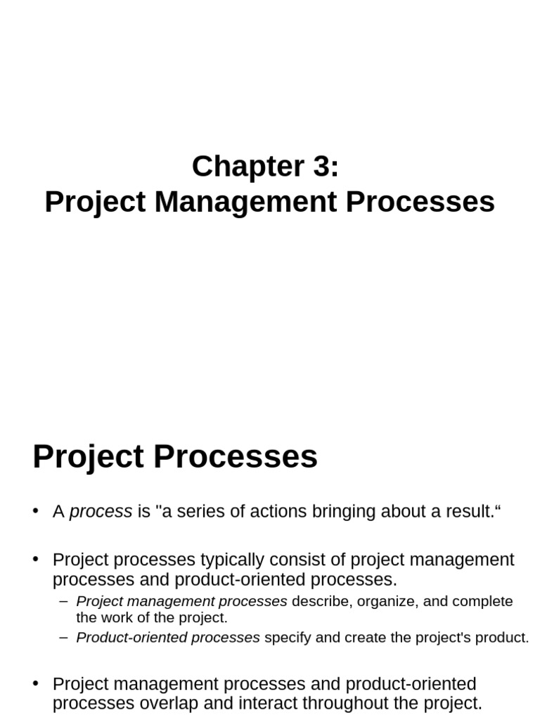 Project Management Process Overview | PDF | Project Management | Risk