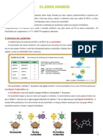 1-Acidos Nucleicos