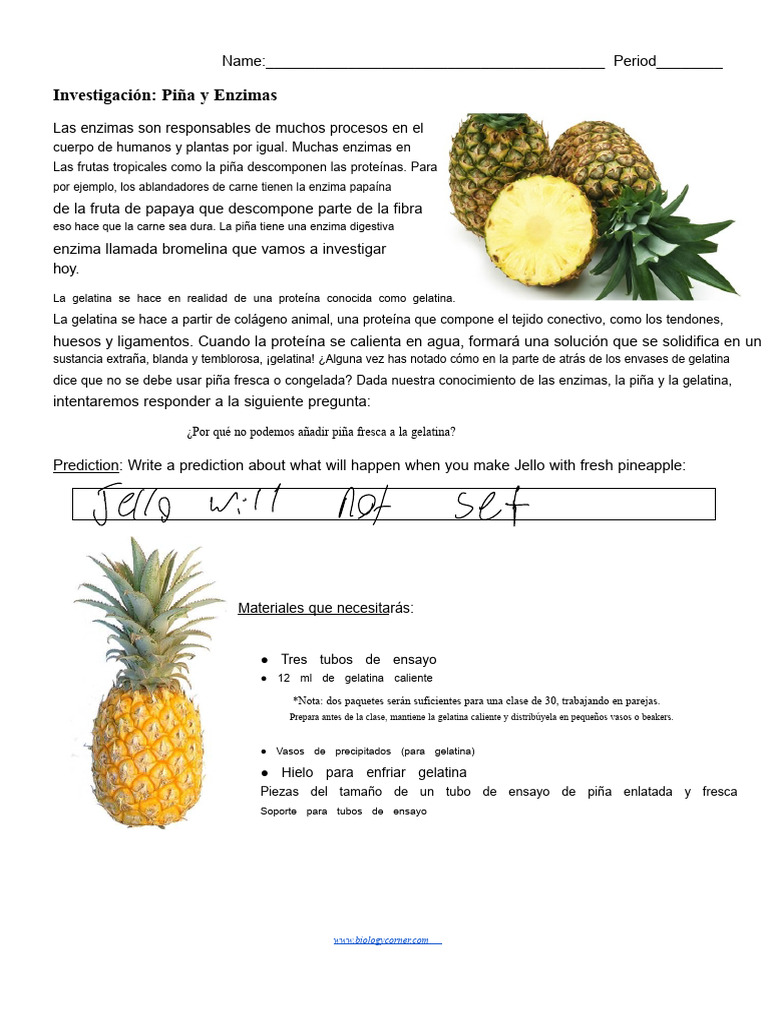 Efecto de la Piña en la Gelatina | PDF | Piña | Gelatina