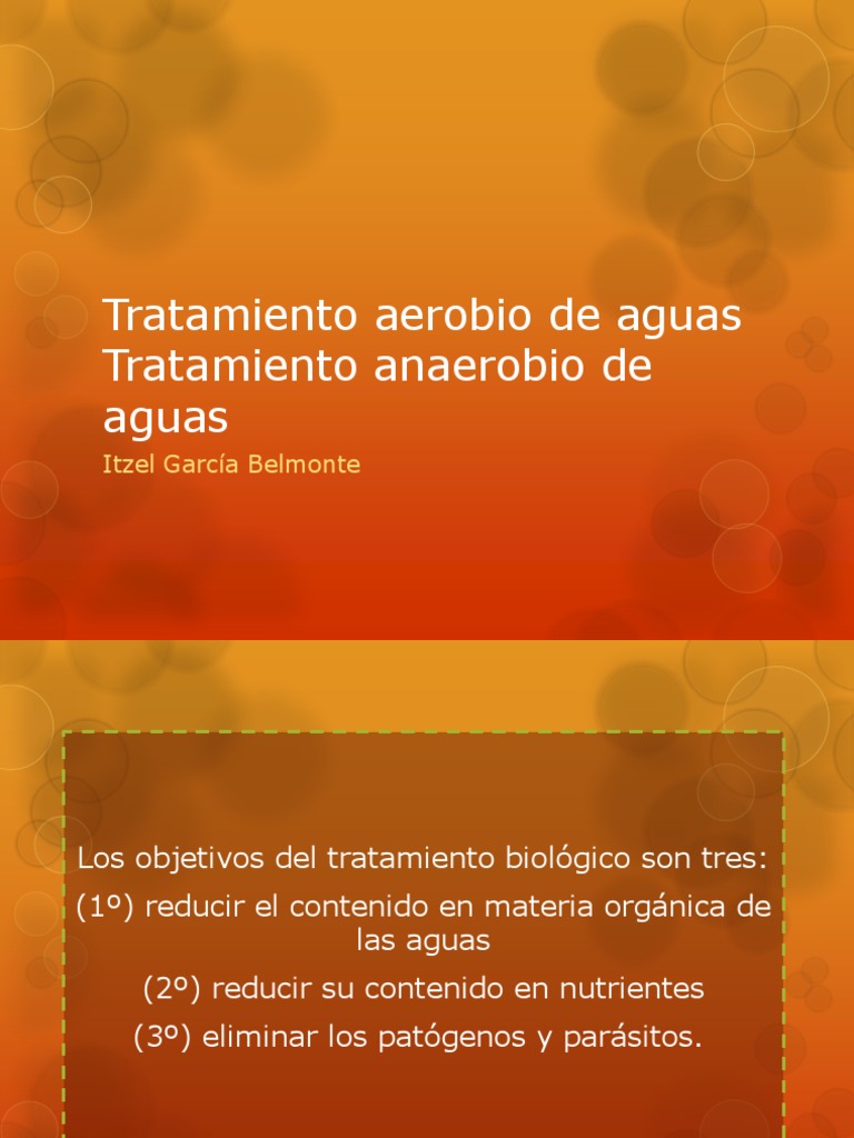 Tratamiento Aerobio y Anaerobio de Aguas | PDF | Gasolinera | Aguas ...