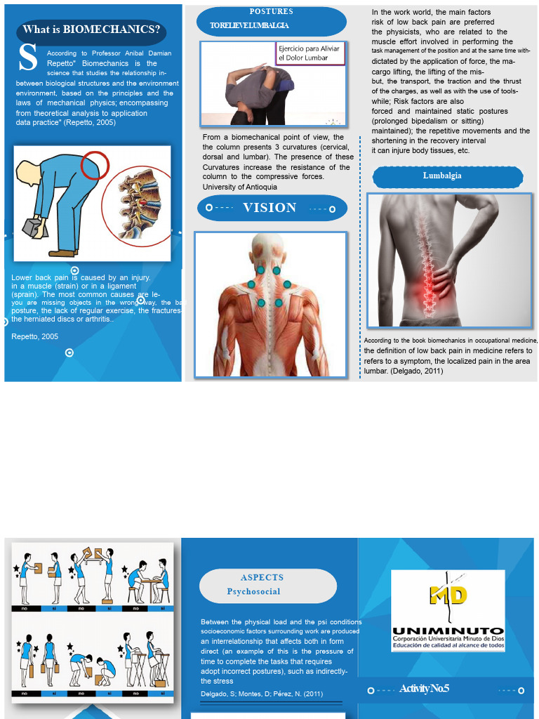 Ergonomics Brochure | PDF | Back Pain | Low Back Pain