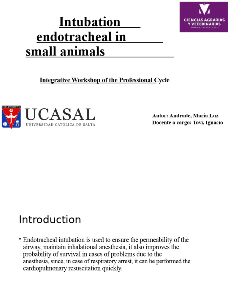 Endotracheal Intubation in Small Animals | PDF | Medical Emergencies ...