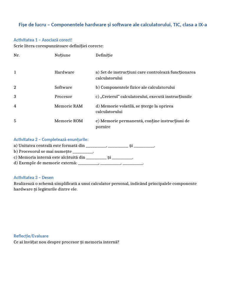 Fisa de Lucru TIC Clasa IX | PDF