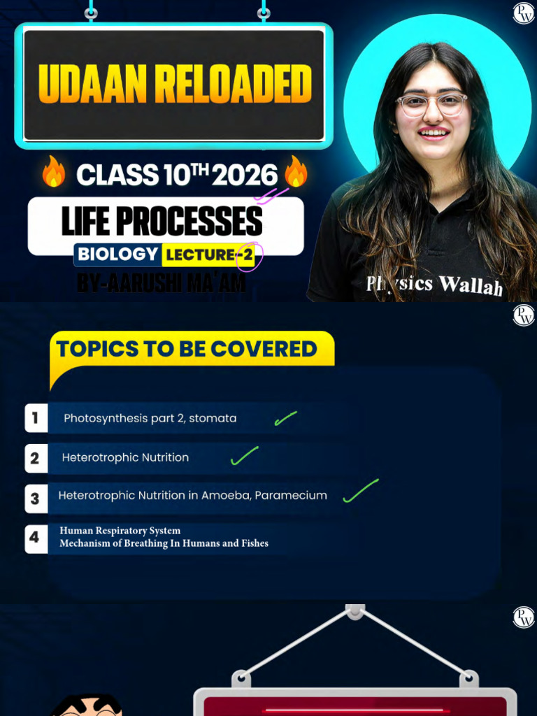 Life Processes 02 - Class Notes PDF | PDF