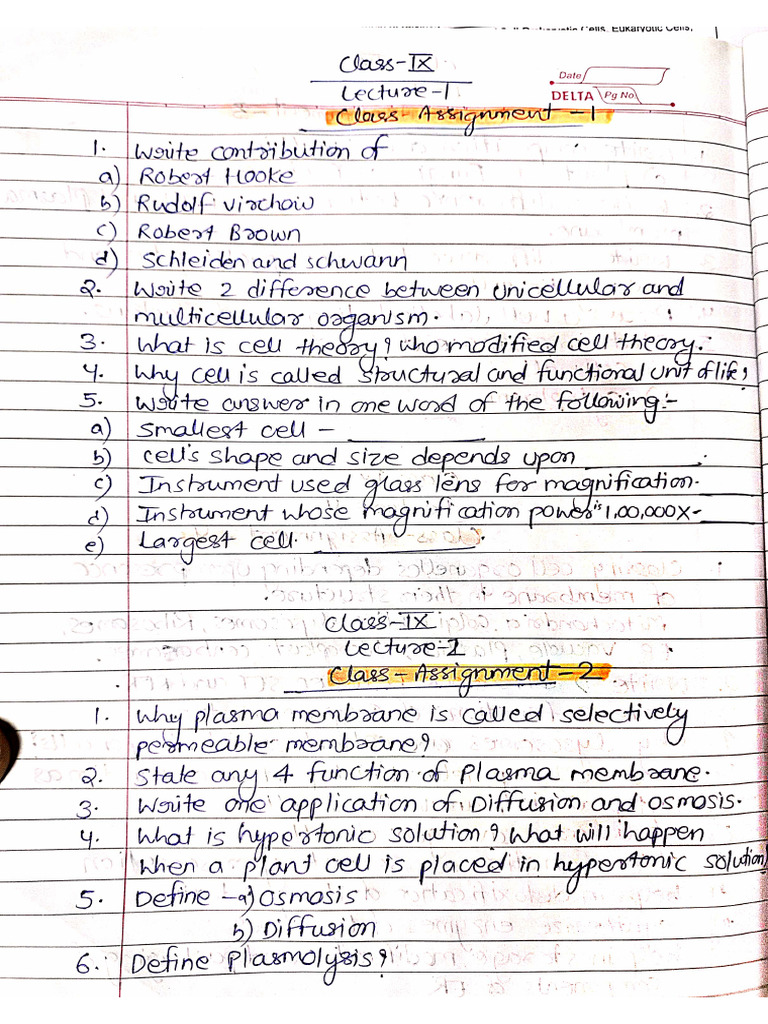 Class Assignment 9th Class | PDF