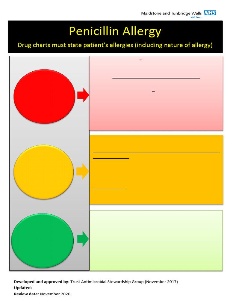 Penicillin Allergy PDF World Health Organization Pharmacology