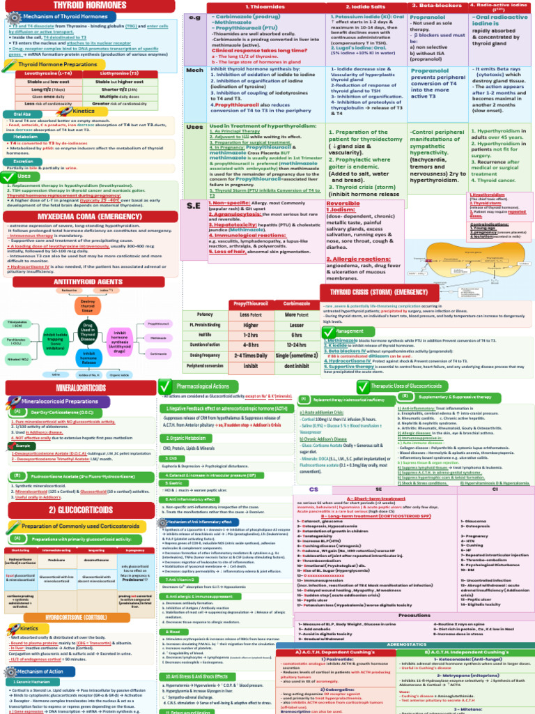 a3-2 | PDF | Hyperthyroidism | Thyroid
