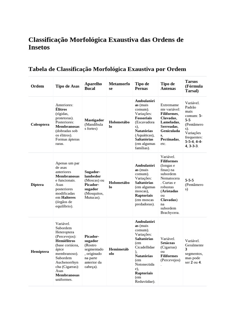 Classificação Morfológica de Insetos | PDF | Mosca | Besouro