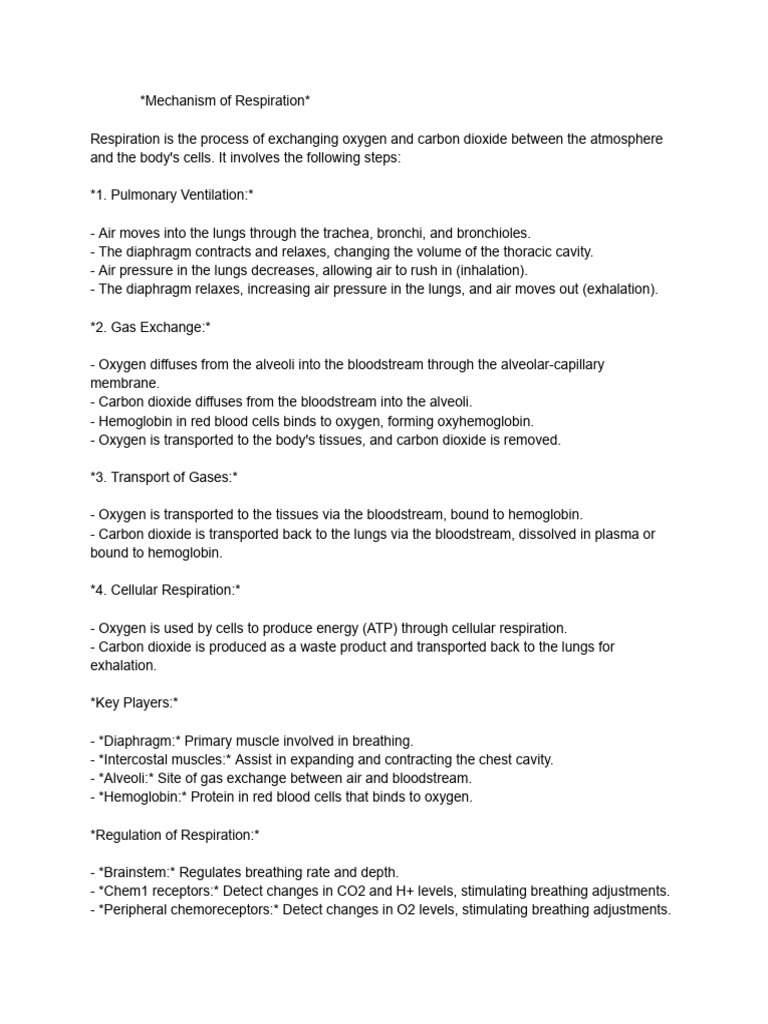 Mechanism of Human Respiration Explained | PDF