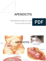 Apéndice cecal: anatomía, fisiopatología y manifestaciones clínicas de la apendicitis aguda