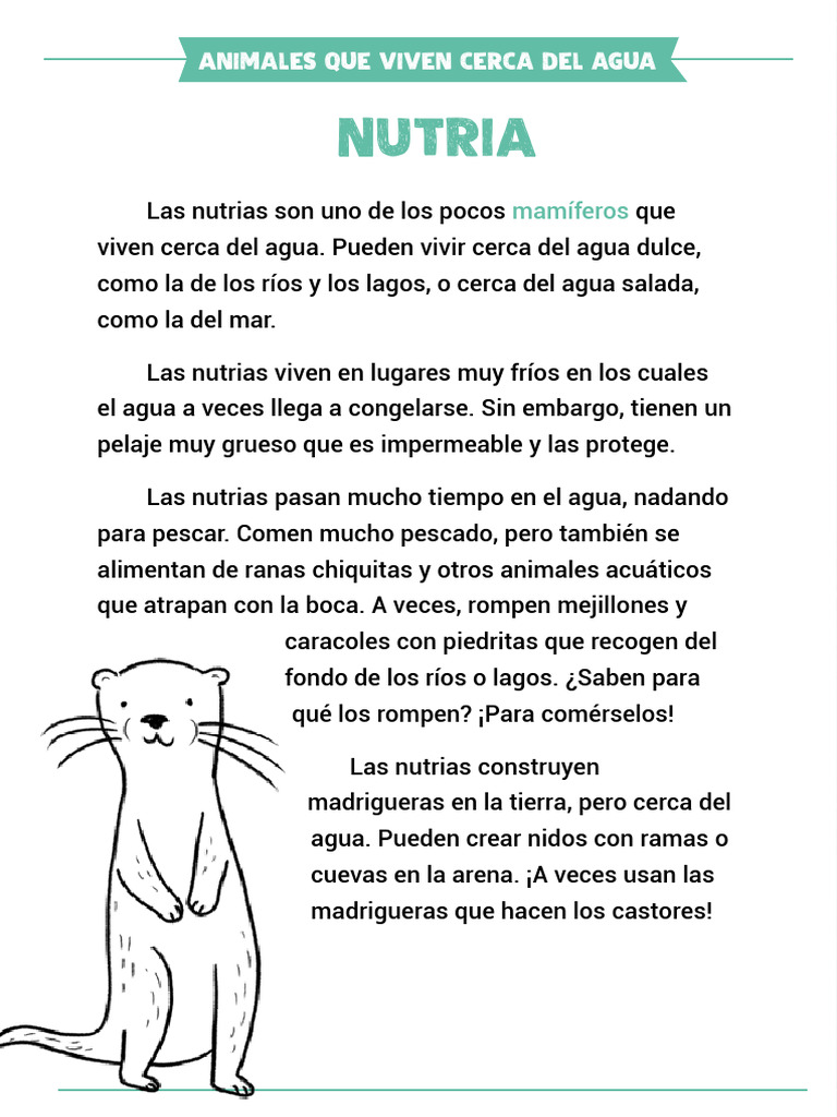 Nutrias y sapos: vida acuática y amistad | PDF | Nutria