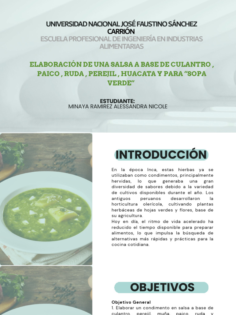 Elaboración de Una Salsa | PDF | Cilantro | Salsa