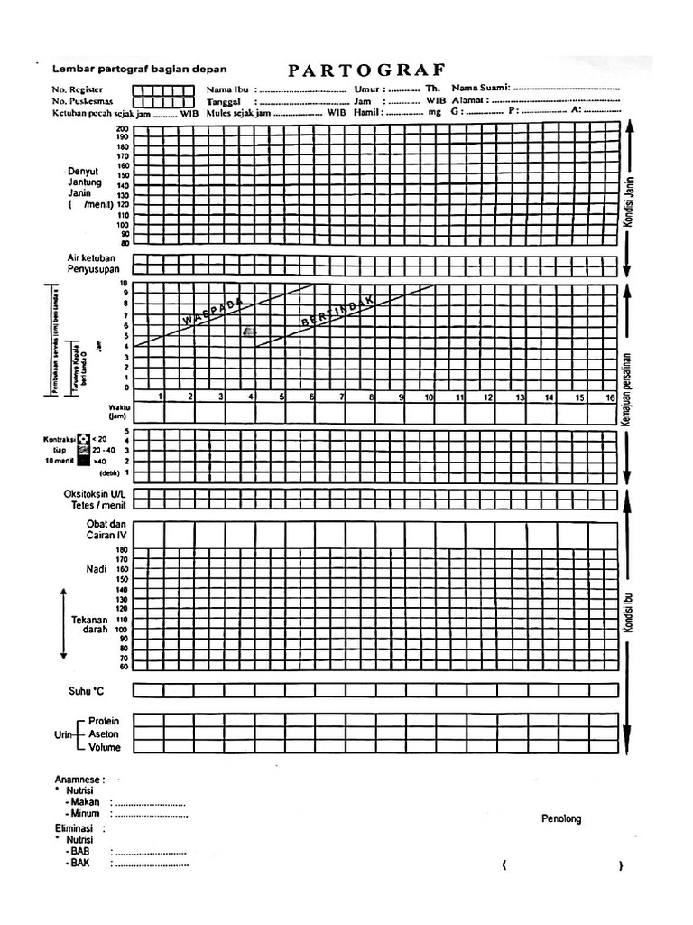 Patograf | PDF