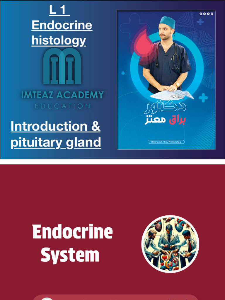 Endocrine System & Pituitary Gland Overview | PDF | Endocrine System ...