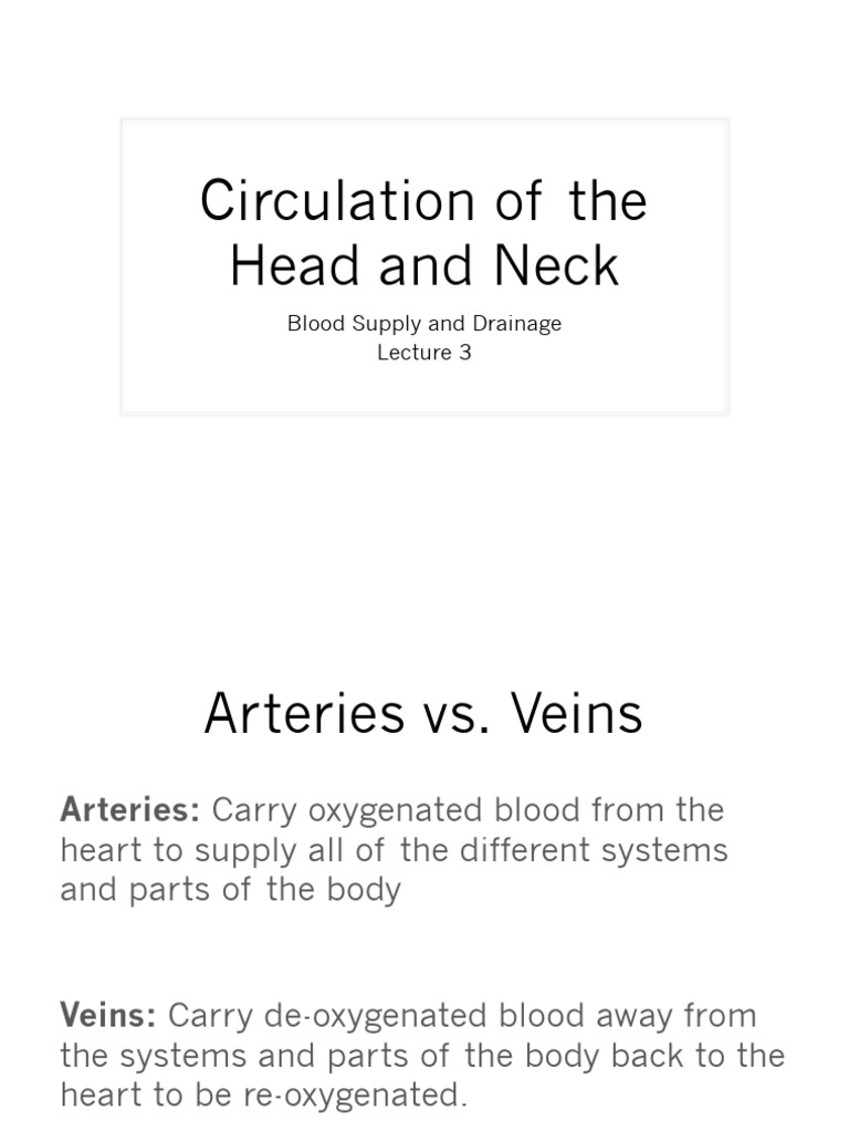 Head and Neck Blood Circulation Overview | PDF | Common Carotid Artery ...