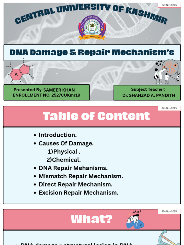 DNA Damage and Repair Mechanisms | PDF | Dna | Dna Repair