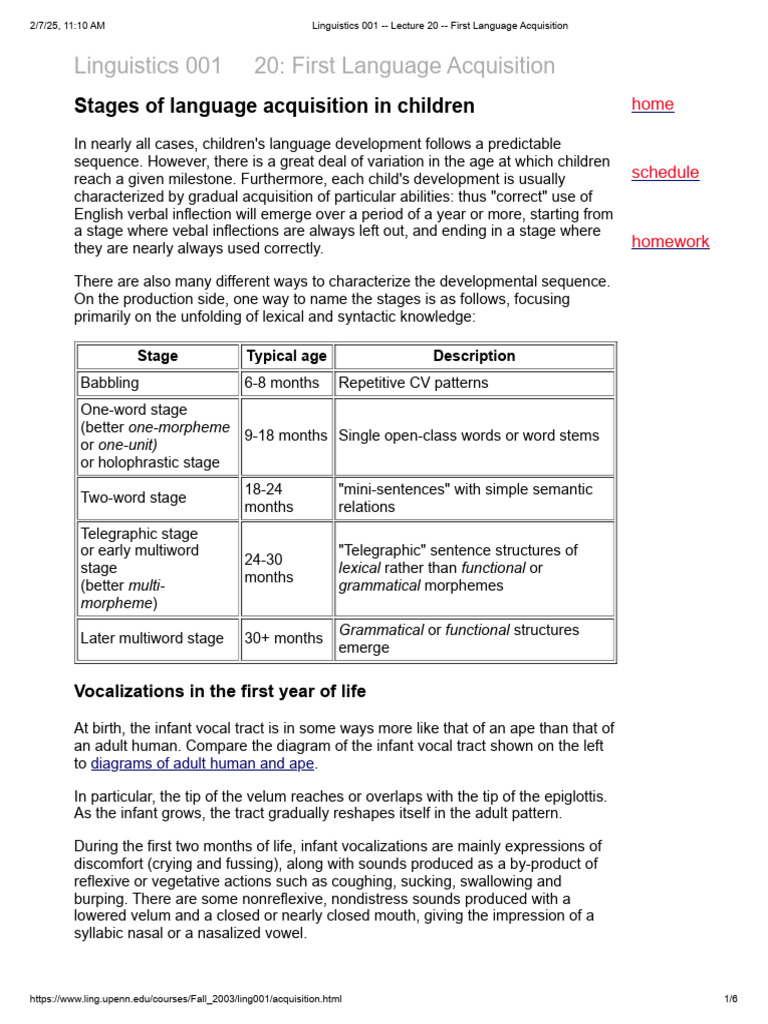 Stages of First Language Acquisition | PDF | Language Acquisition ...