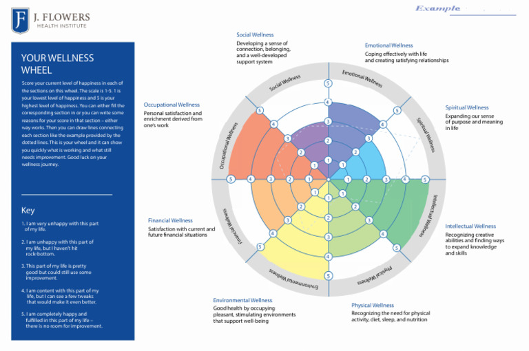 Wellness Wheel Happiness Assessment | PDF | Happiness | Social Psychology