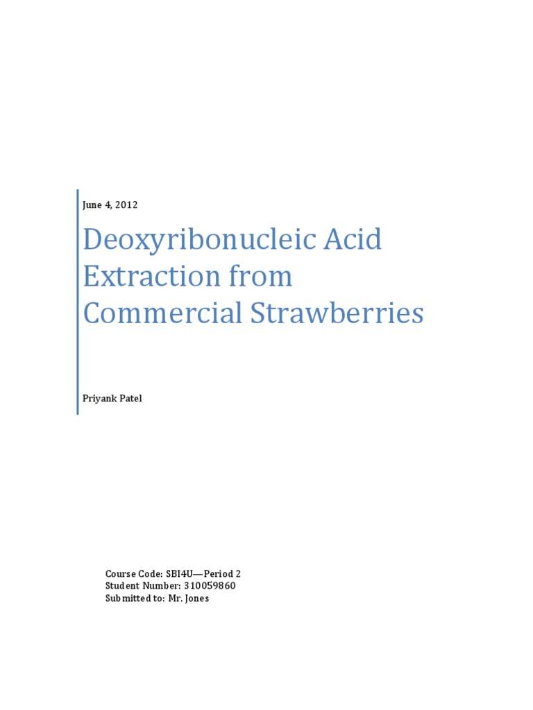 Strawberry DNA Extraction Lab Report | PDF | Genome | Cell Membrane