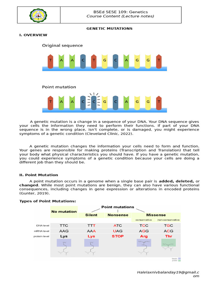 Mutations | PDF | Point Mutation | Genetic Code