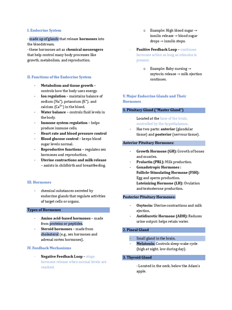 Overview of the Endocrine System | PDF | Endocrine System | Pituitary Gland
