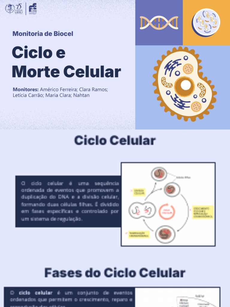 Entendendo o Ciclo Celular e Seus Controles | PDF | Apoptose | Ciclo de ...