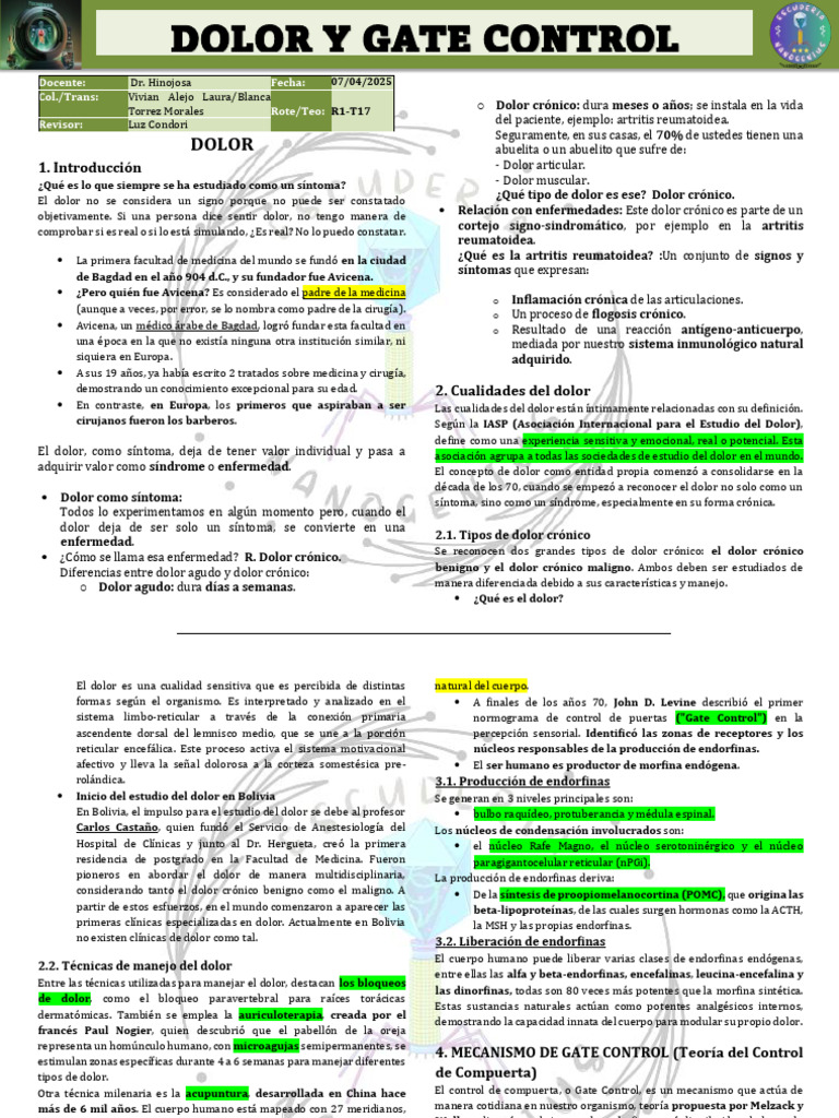 Mecanismos del Dolor y Control Gate | PDF | Dolor | Cerebro