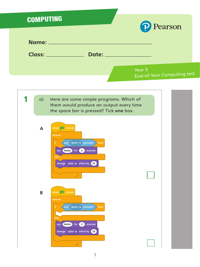Year 5 Computing Test Questions | PDF | Traffic Light | Computing